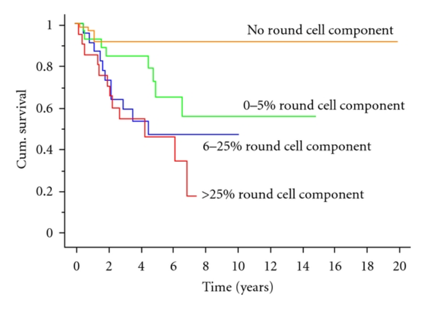 Kaplan-Meier-survival-curve-showing-patient-survival-without-development-of-metastatic