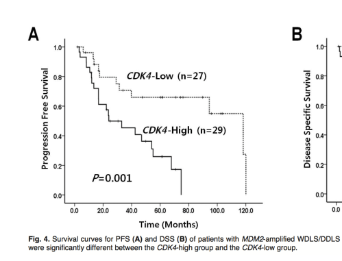 Screen Shot 2019-05-24 at 6.26.46 AM