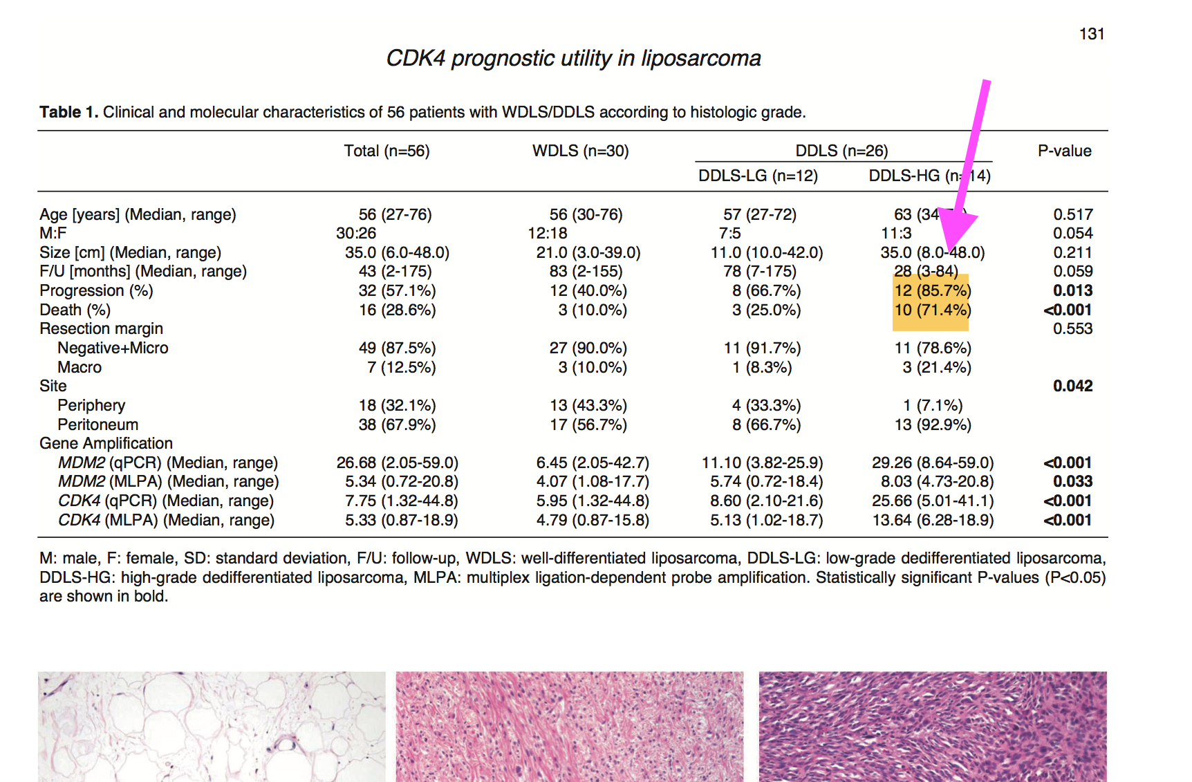 Screen Shot 2019-05-24 at 6.27.14 AM