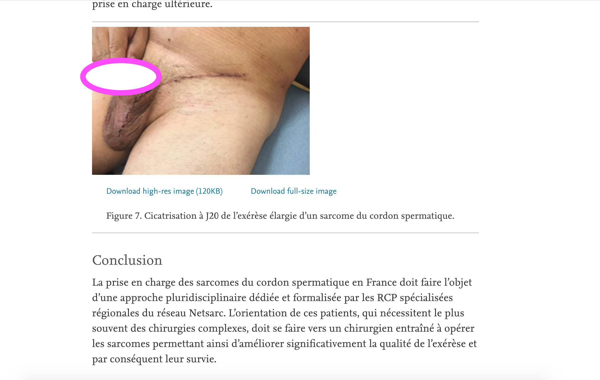 Screen Shot 2019-05-24 at 7.38.12 AM